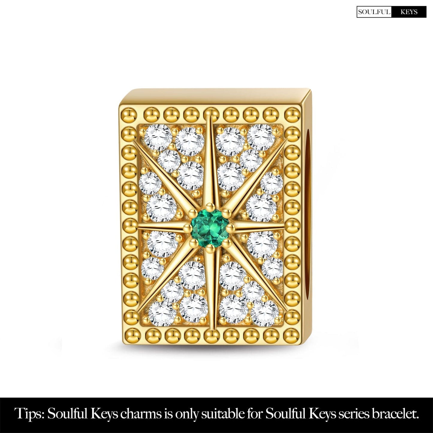 Shinning Octagram Tarnish-resistant Silver Rectangular Charms In 14K Gold Plated