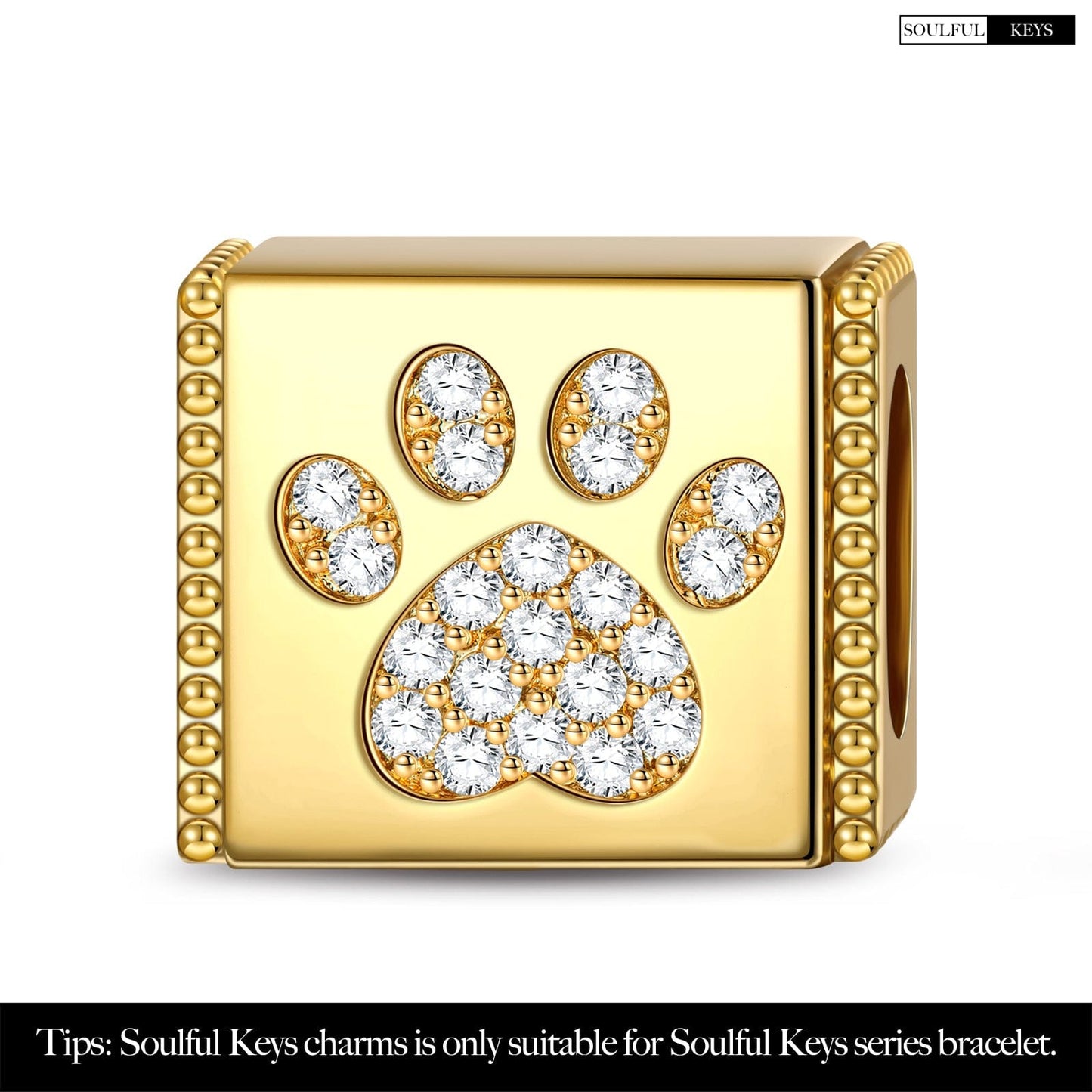 Lovely Paw Tarnish-resistant Silver Rectangular Charms In 14K Gold Plated